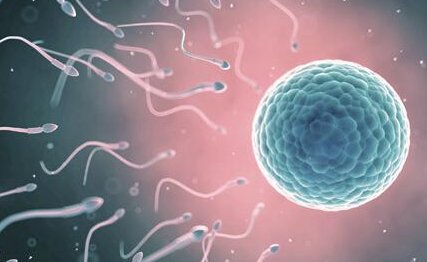 2026年上海试管婴儿医院评估与挑选指南