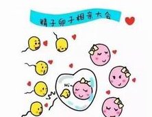 2026合肥口碑比较好的助孕公司名单，7家技术好的机构全在这里