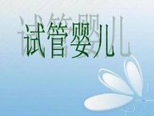 2026在黑龙江助孕生子成功率多少？黑龙江助孕成功率高需满足什么条件？