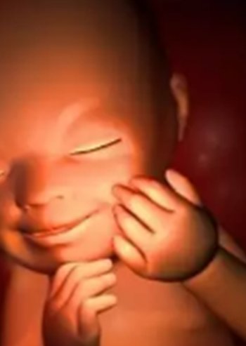 2026年上海市三代试管助孕公司或机构实时排名